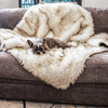 Afbeelding laden in Galerijviewer, PupProtector™ Beschermt uw huisdieren en meubels